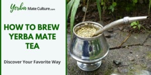 How to Brew Yerba Mate Tea - Discover Your Favorite Way