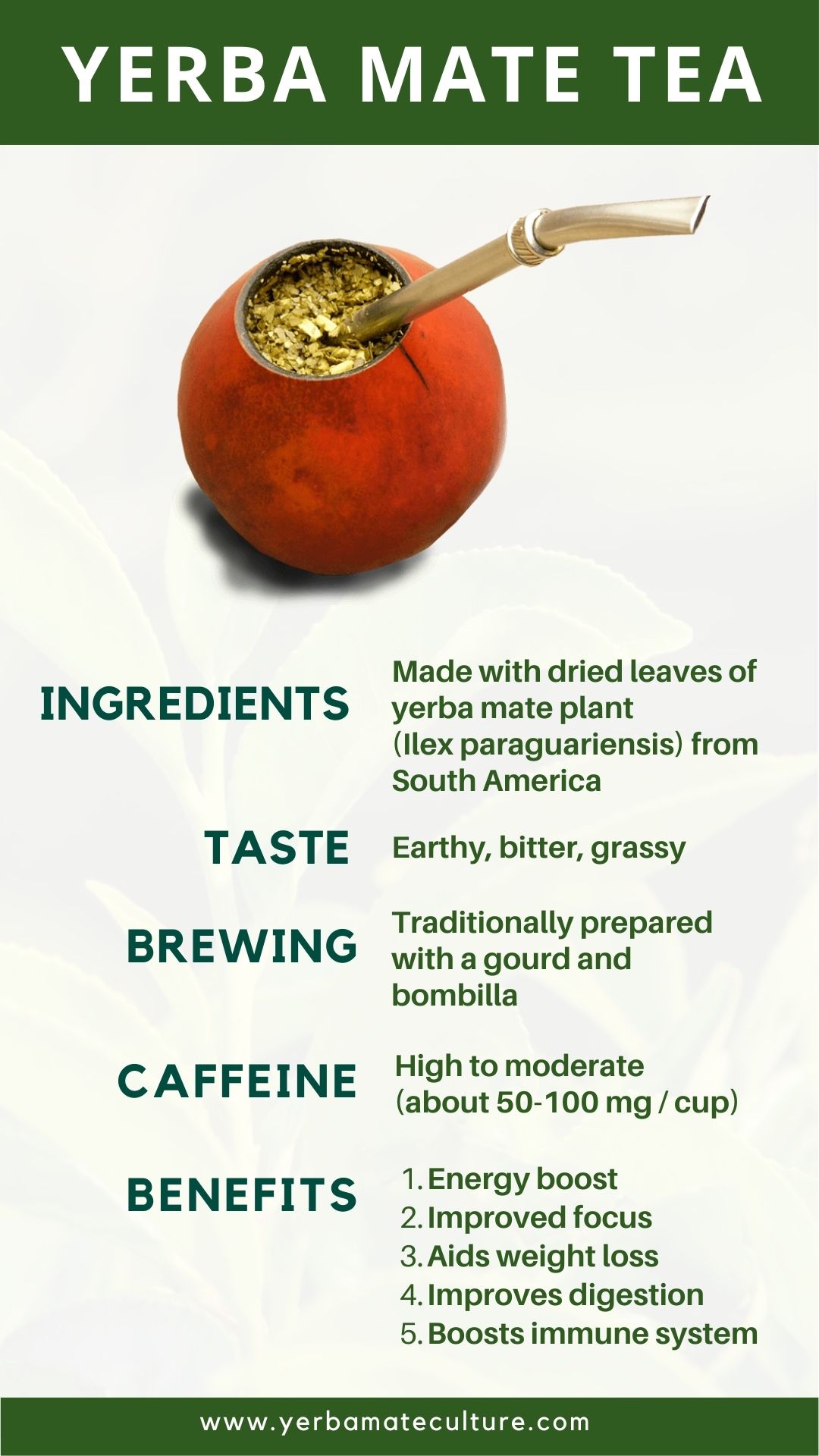 Yerba Mate Tea infographic