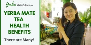 Yerba Mate Tea Health Benefits - There are Many!