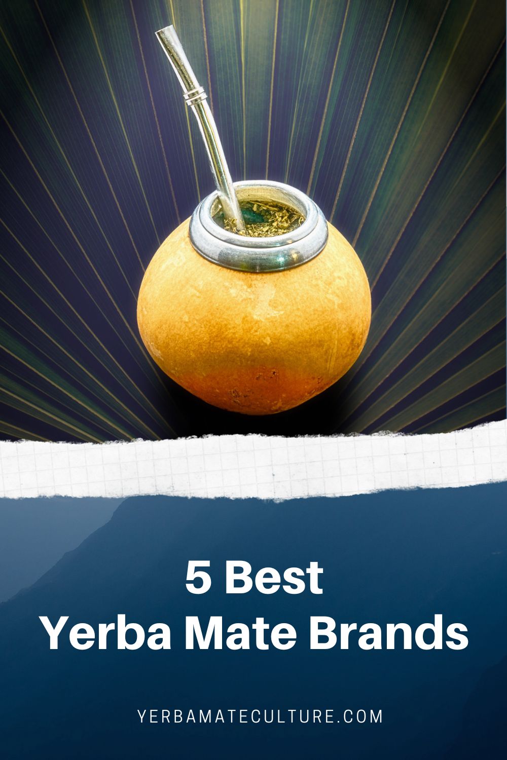 5 Best yerba Mate Brands