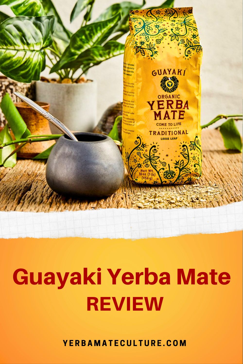 Guayaki Yerba Mate Review