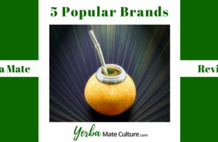 What is the Best Yerba Mate Brand - Top 5 Products Reviewed