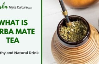 What is Yerba Mate Tea - A Refreshing, Healthy and Natural Drink