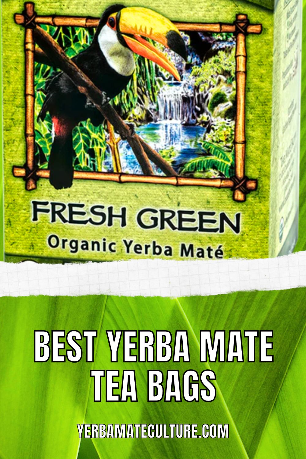 Yerba mate tea bags