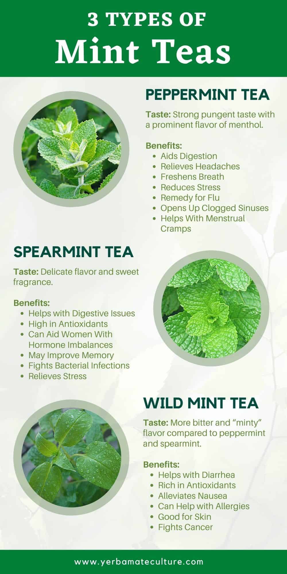 3 types of mint teas