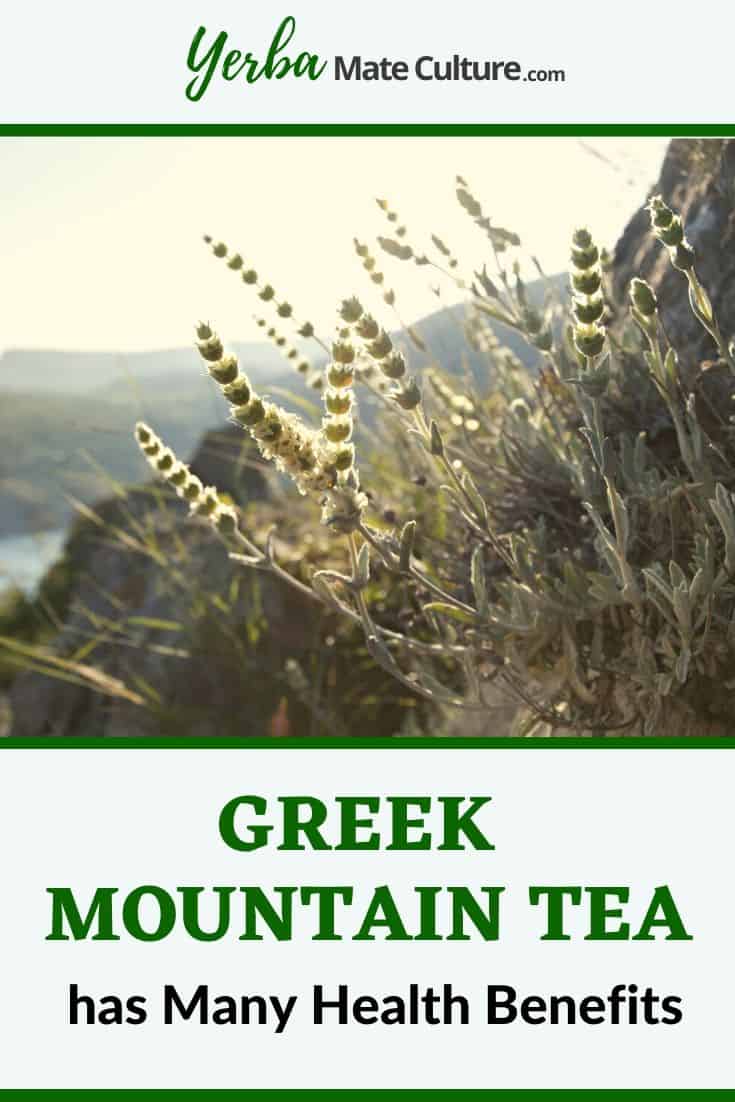Greek mountain tea health benefits