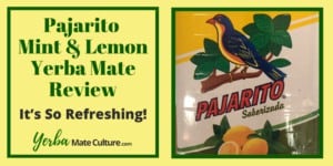 Pajarito Mint & Lemon Yerba Mate Review - It's So Refreshing!