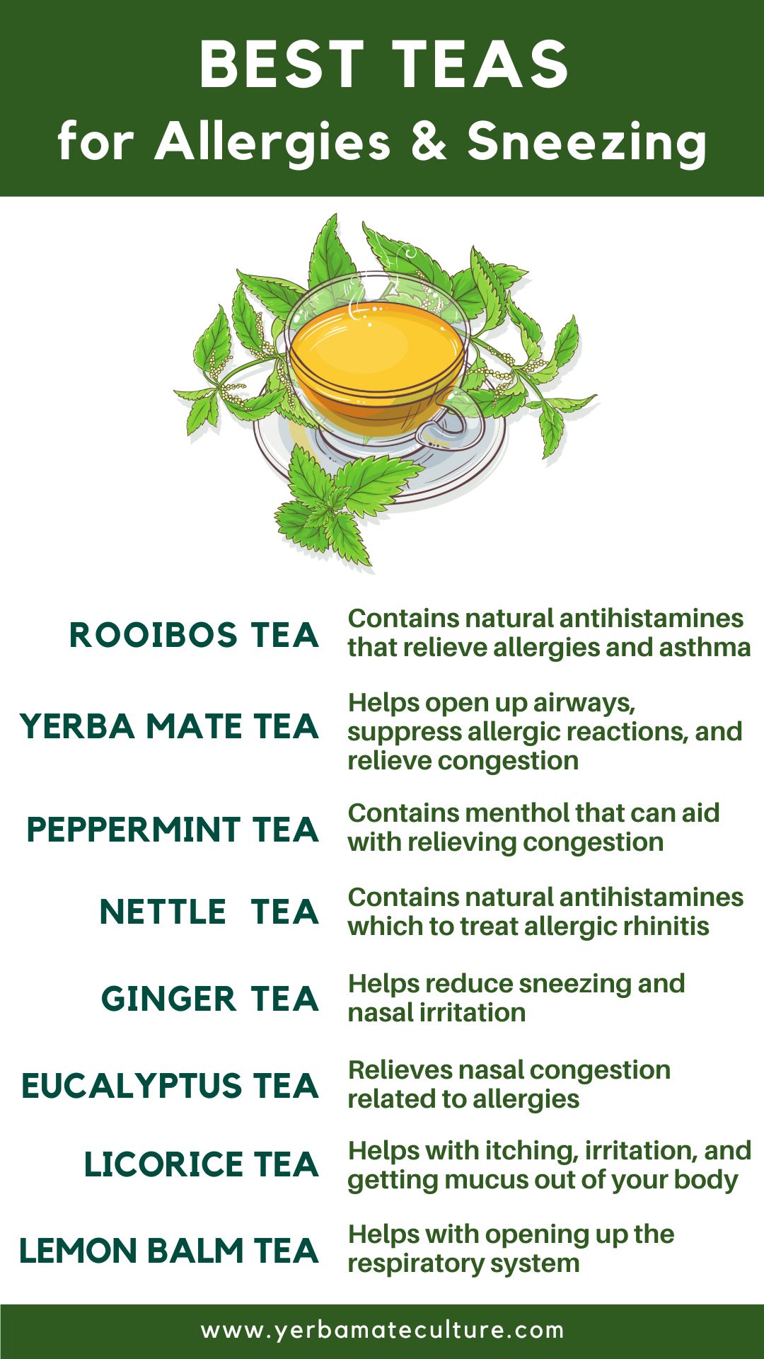 best teas for allergies