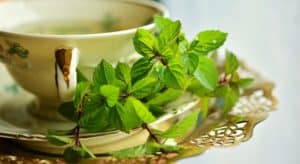 Peppermint Tea Health Benefits – It’s Good for You!