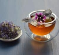 Top 10 Healthiest Teas - Drink These and Stay Fit