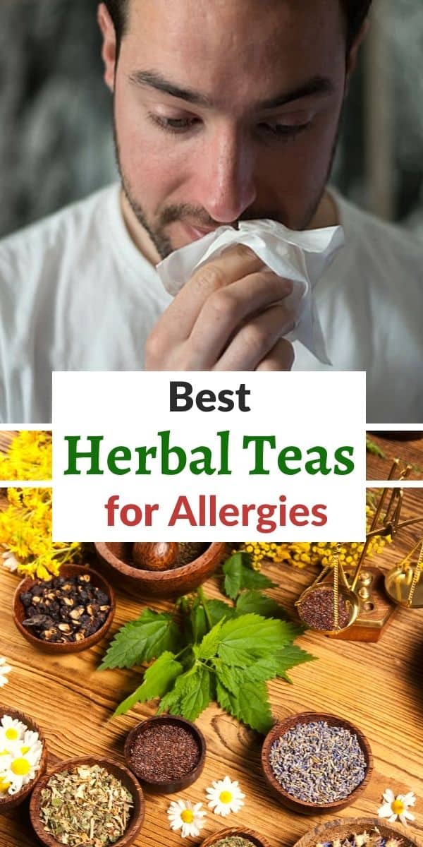 herbal teas for allergy