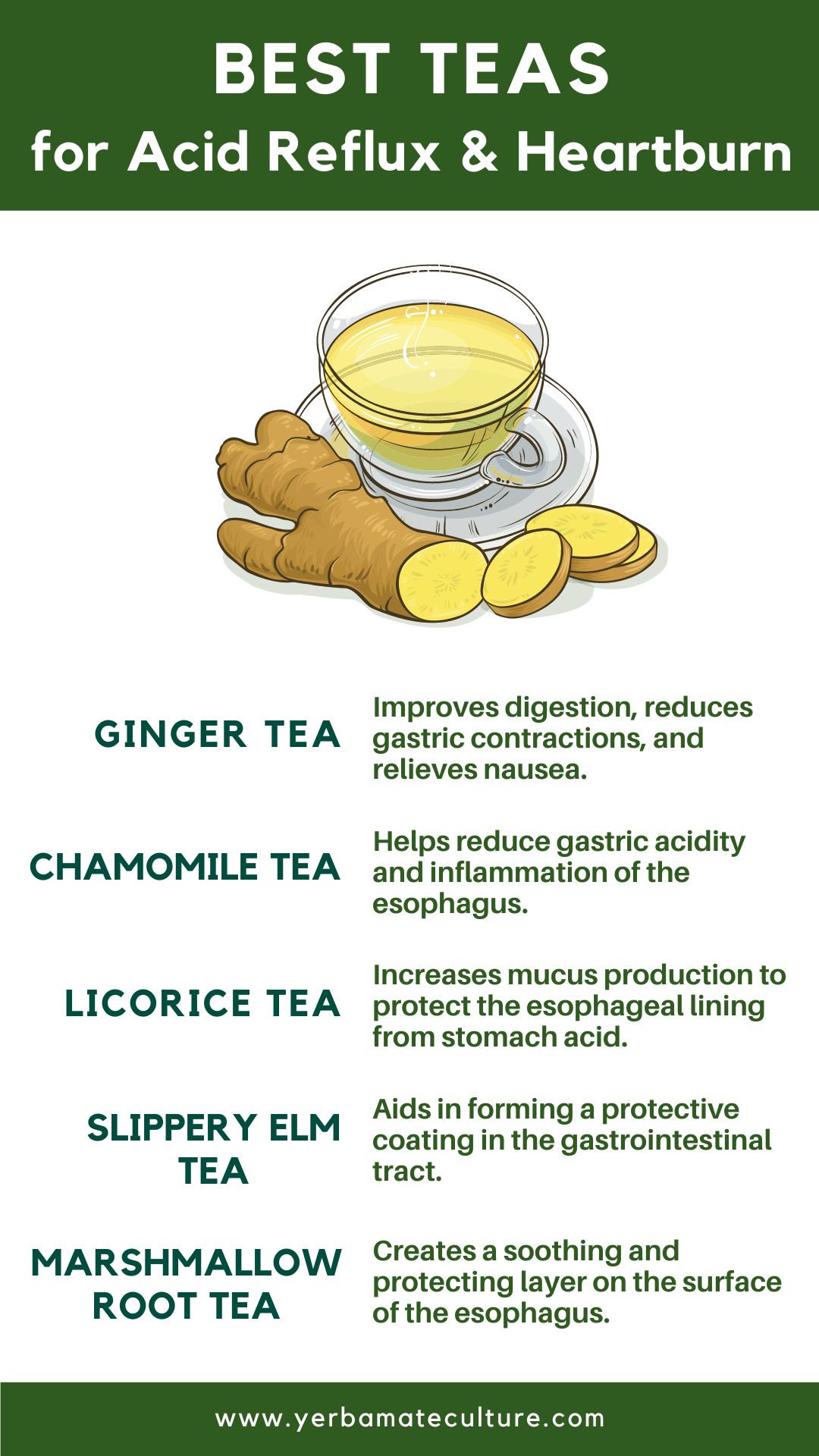 Teas for Acid Reflux