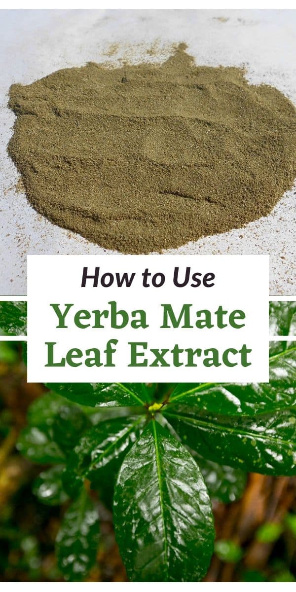 how to use yerba mate leaf extract
