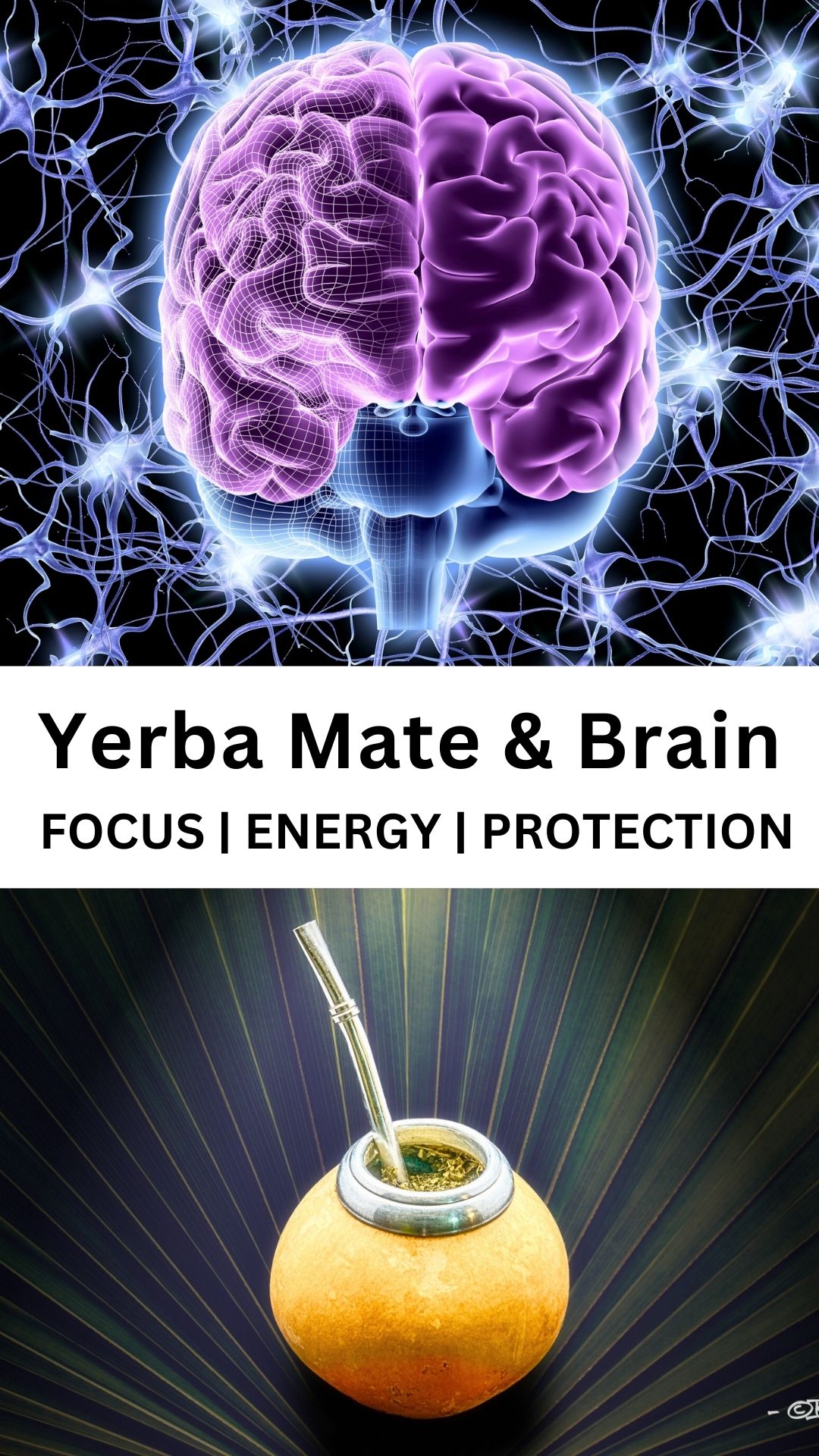 Yerba Mate and Brain