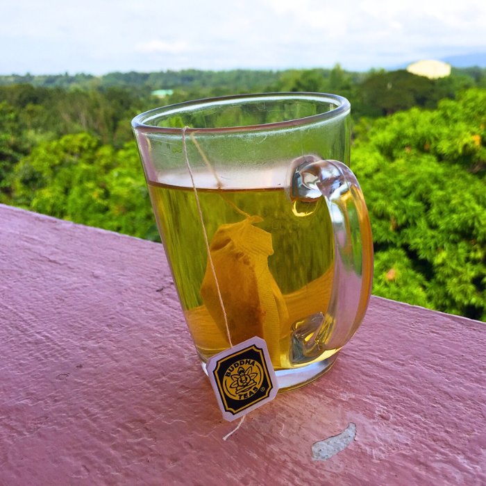 a cup of Buddha Teas turmeric ginger tea
