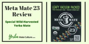 Meta Mate 23 Review - Special Wild-Harvested Yerba Mate