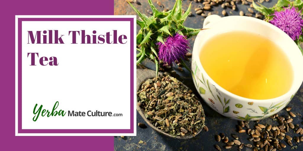 Milk Thistle Tea Health Benefits and Side Effects