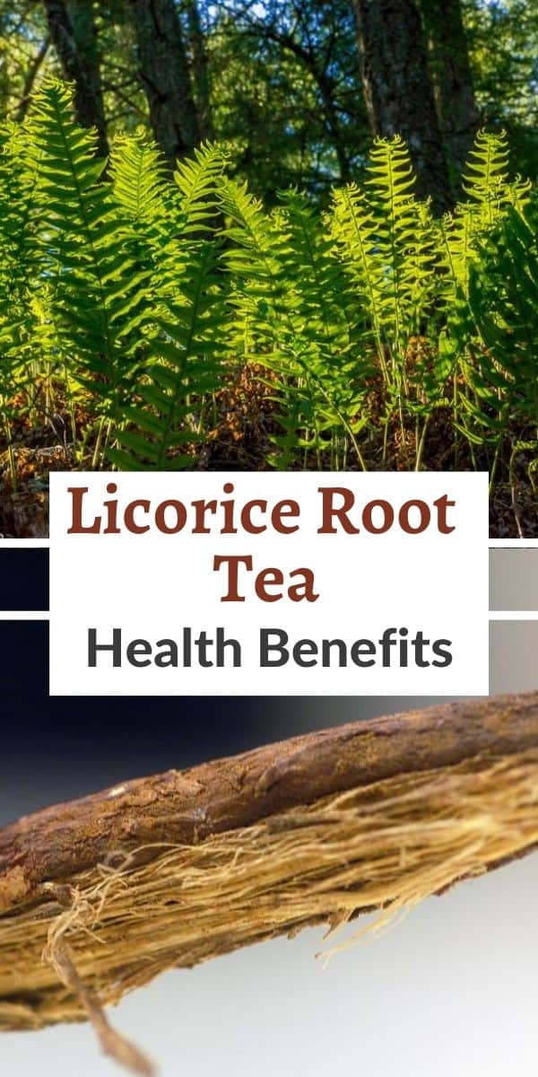 licorice root tea benefits