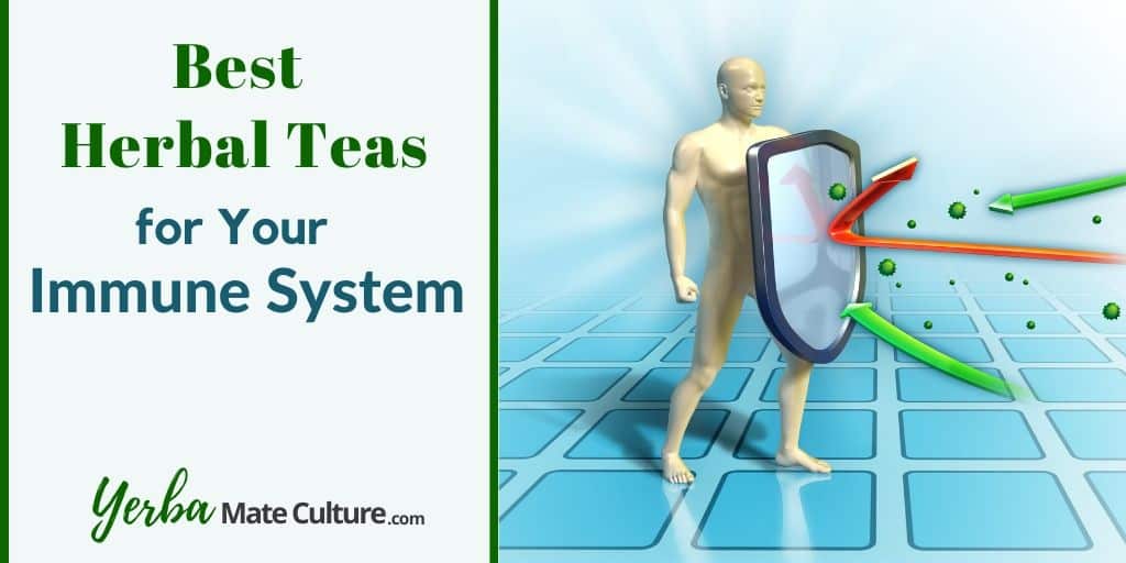 Herbal Teas to Boost Immunity