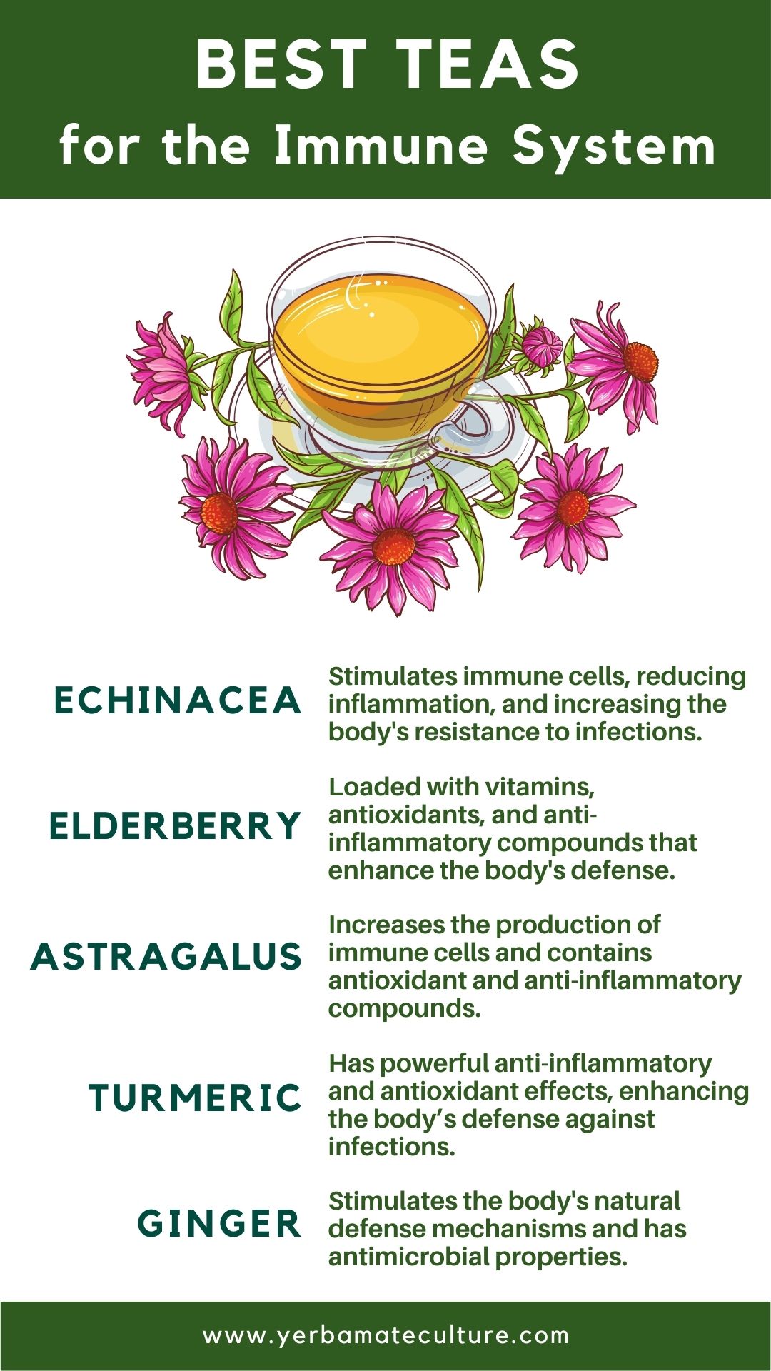 Teas for Immune system