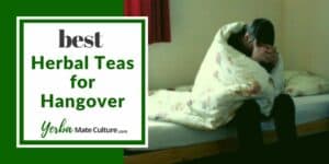 best herbal teas for hangover