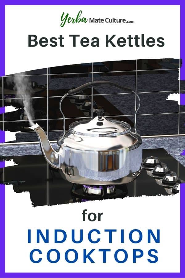 best kettle for induction cooktop