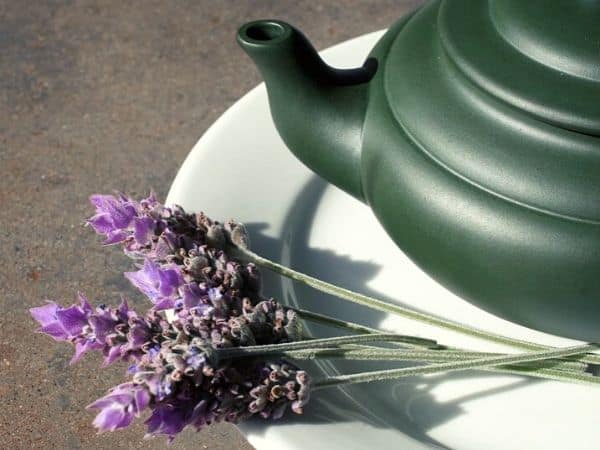 lavender tea pot