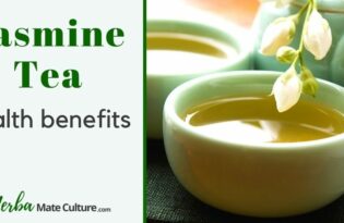 Jasmine Tea Benefits, Possible Side Effects, Taste and How to Brew It