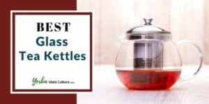Best Glass Tea Kettles in 2022 Reviewed [Electric and Stovetop]
