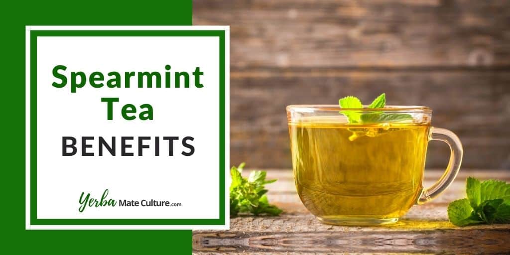 Tea benefits spearmint 11 Surprising