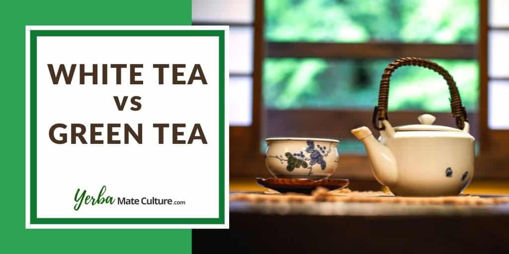 white tea vs green tea