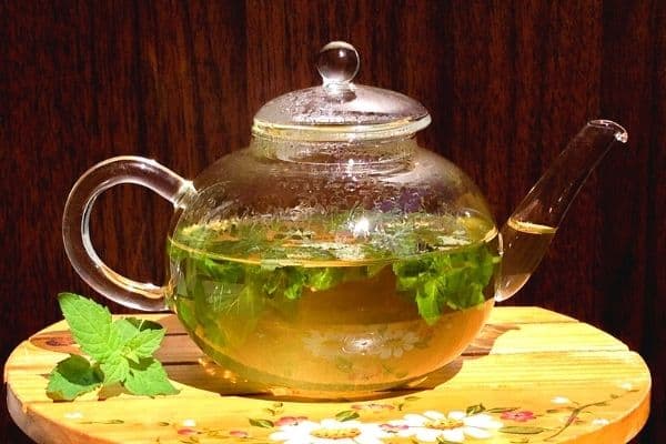 mint tea in a glass pot