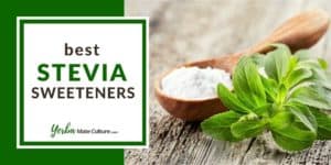 6 Best Stevia Sweeteners for Coffee, Tea and Baking