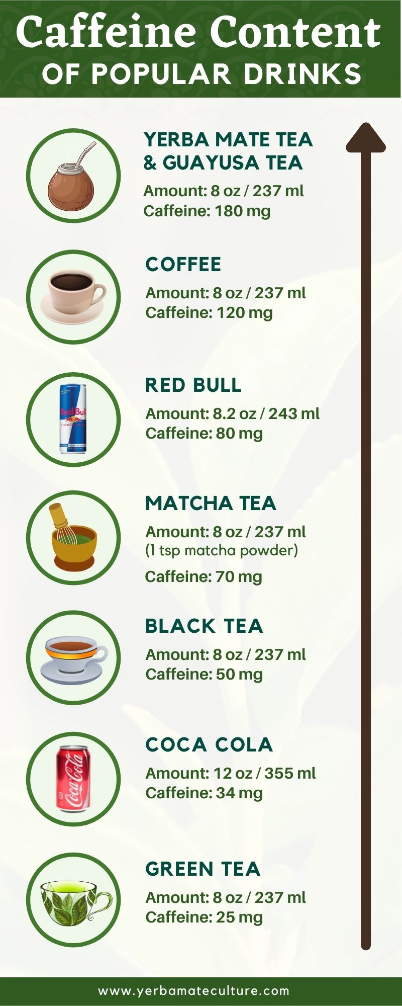 caffeine content of teas and other beverages infographic