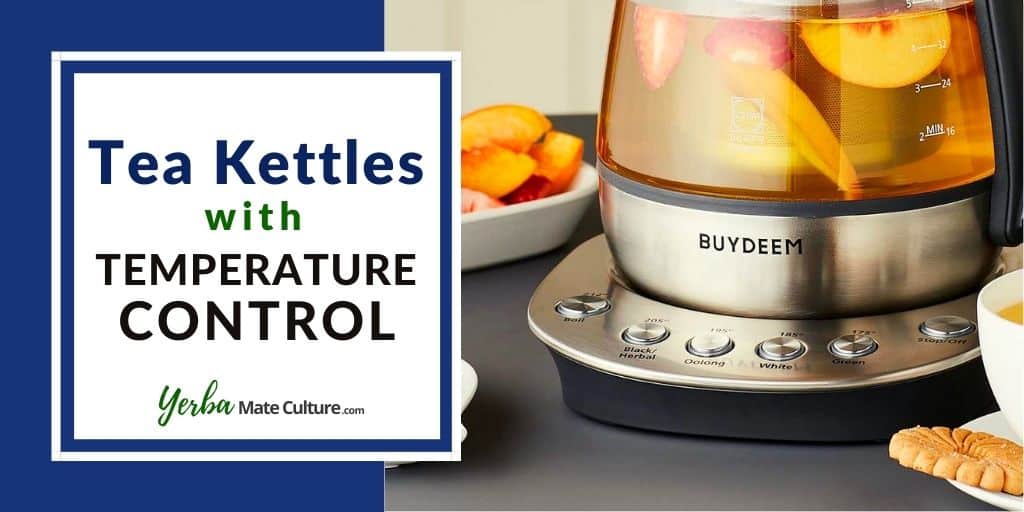 temperature control kettles