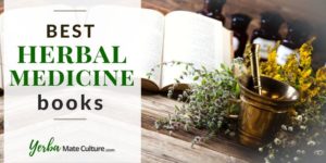 Best Herbal Medicine Books for Beginners and Expert Herbalists