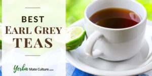 5 Best Earl Grey Tea Brands - Loose Leaf, Tea Bags and Organic Products Reviewed