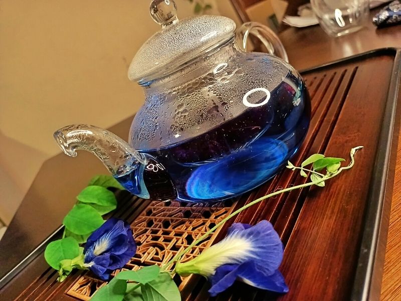 Butterfly Pea Flower Tea in Glass Teapot