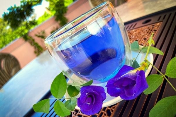 butterfly pea tea and fresh flowers
