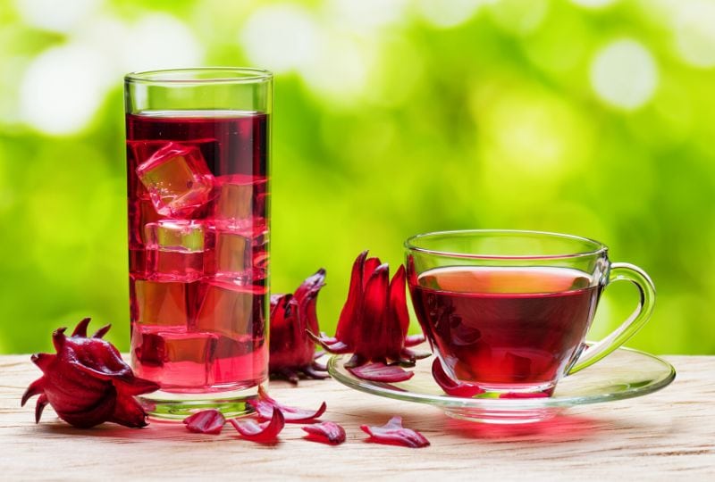 hot and iced hibiscus tea