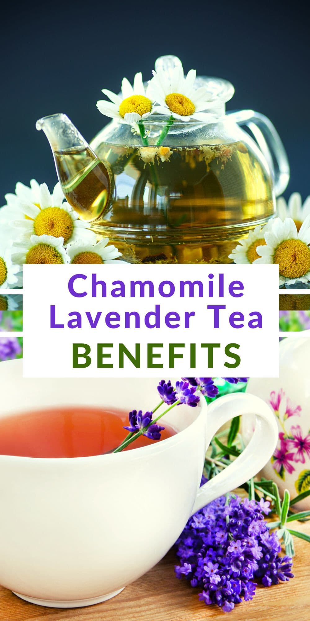 Chamomile Lavender Tea Benefits